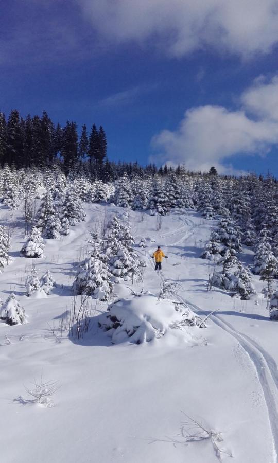 Appartamento Haus Voellegg Vollegg Esterno foto