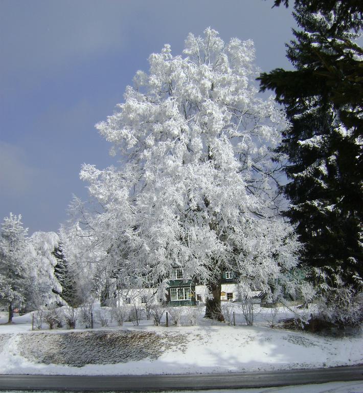 Appartamento Haus Voellegg Vollegg Esterno foto